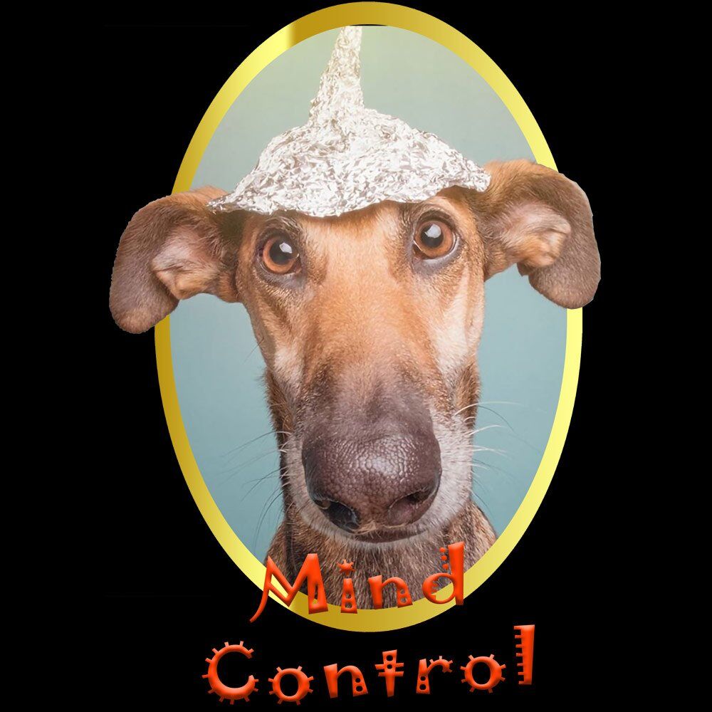 Pure Cotton Bio-Washed T-Shirt Chest Printed-Slogan Funny Dog-Alien Mild Control-Design-15-by ZingerTees-Unisex-EL9120466 - Image 9