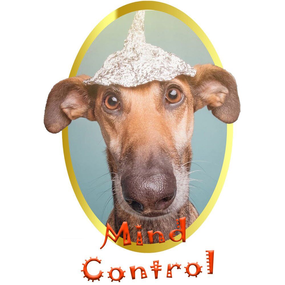Pure Cotton Bio-Washed T-Shirt Chest Printed-Slogan Funny Dog-Alien Mild Control-Design-15-by ZingerTees-Unisex-EL9120466 - Image 10