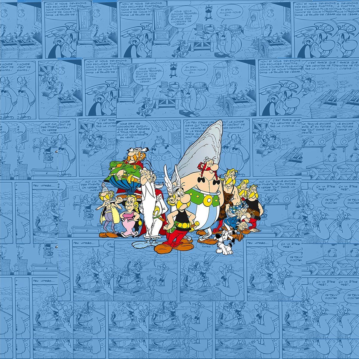 Asterix 1 bk d